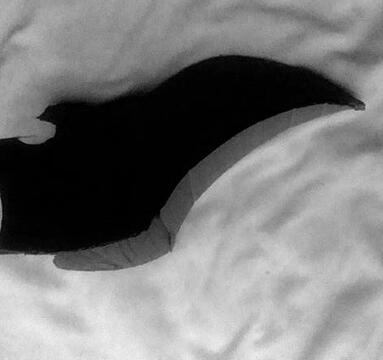 discarded plague mask