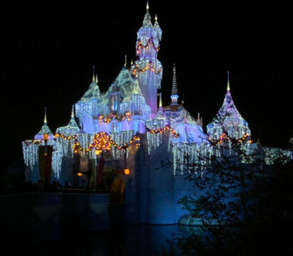 disney castle at night